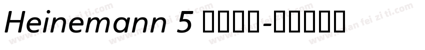 Heinemann 5 字体家族字体转换